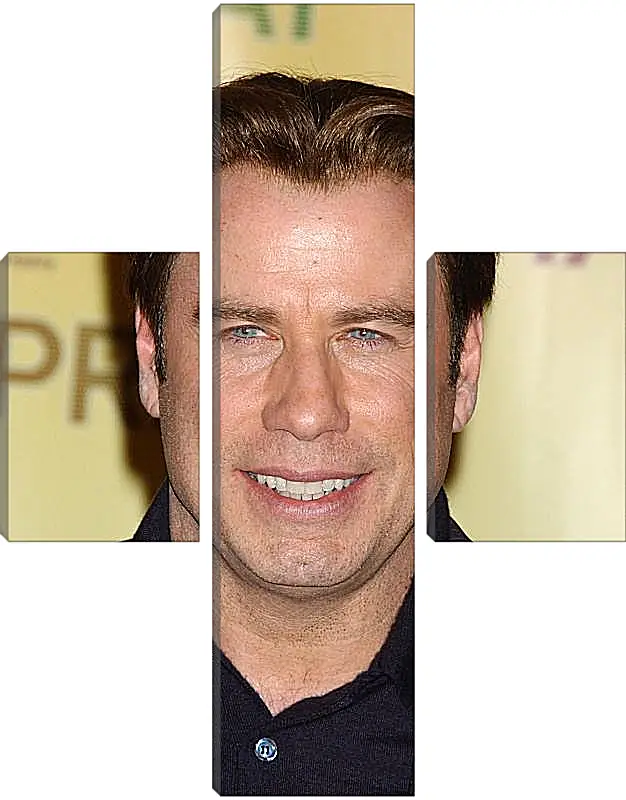 Модульная картина - Джон Траволта. John Travolta