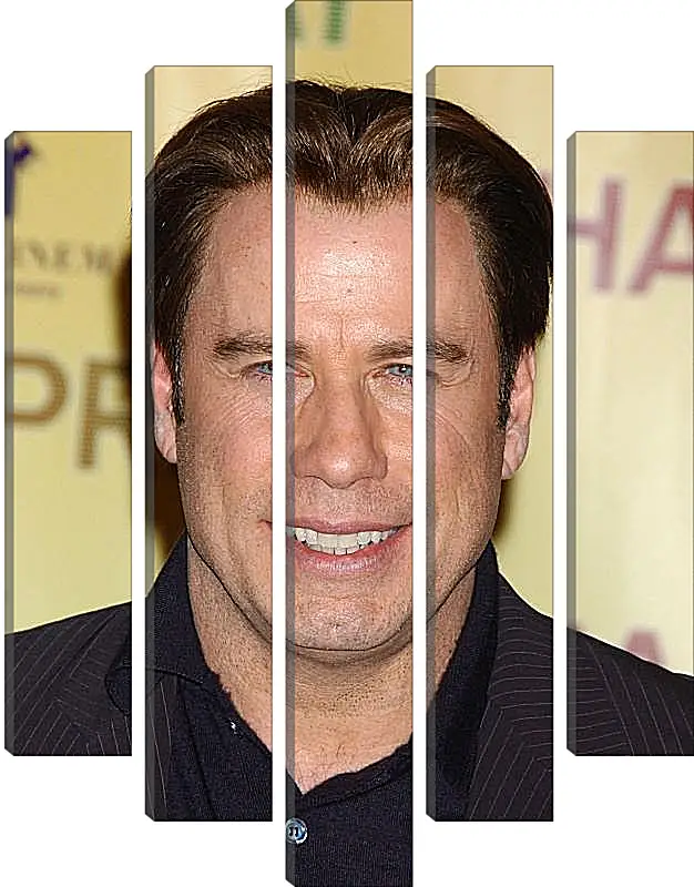 Модульная картина - Джон Траволта. John Travolta