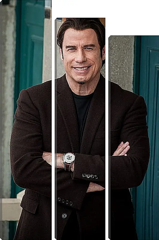 Модульная картина - Джон Траволта. John Travolta