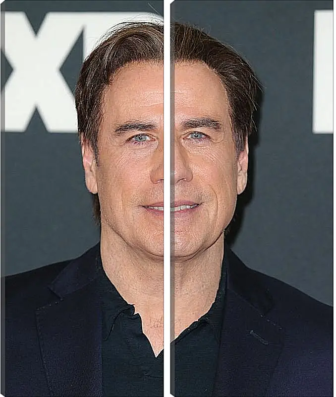 Модульная картина - Джон Траволта. John Travolta