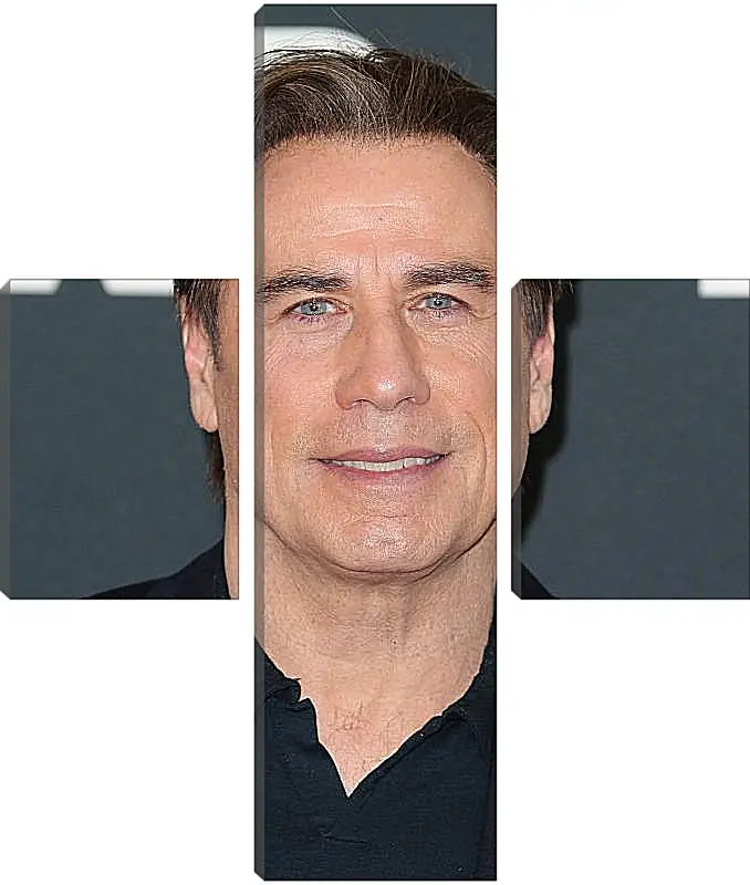 Модульная картина - Джон Траволта. John Travolta