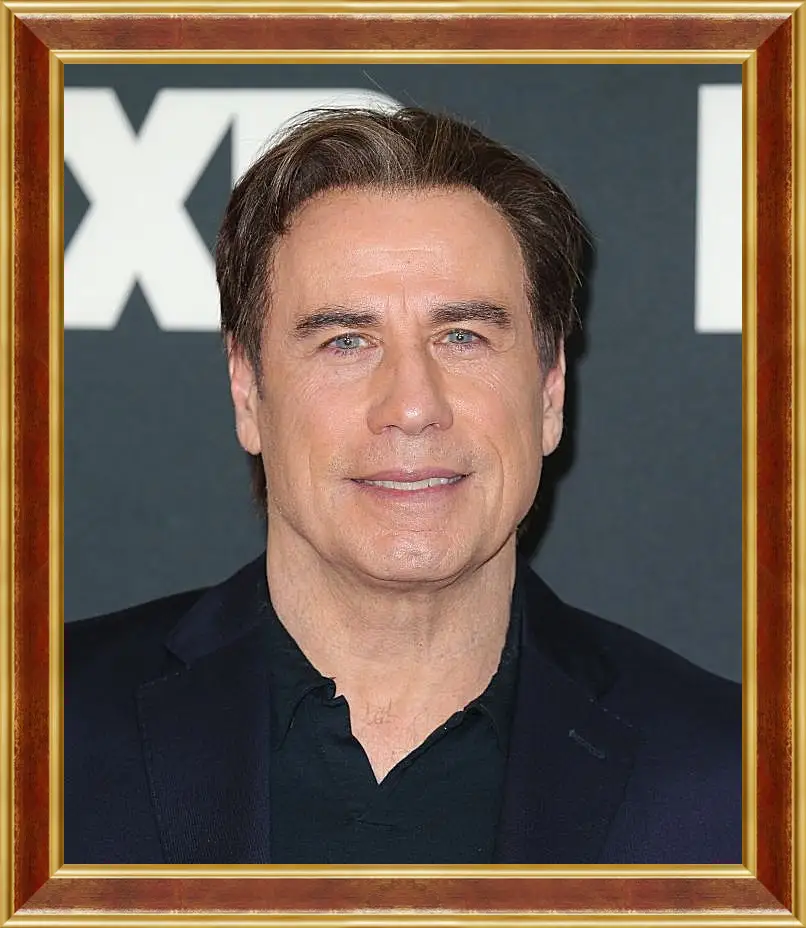 Картина в раме - Джон Траволта. John Travolta