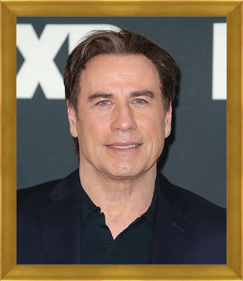 Картина в раме - Джон Траволта. John Travolta