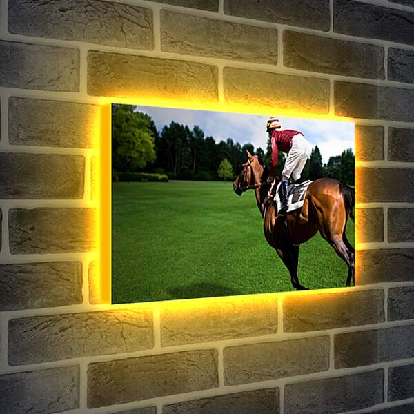 Лайтбокс световая панель - Наездник на лошади