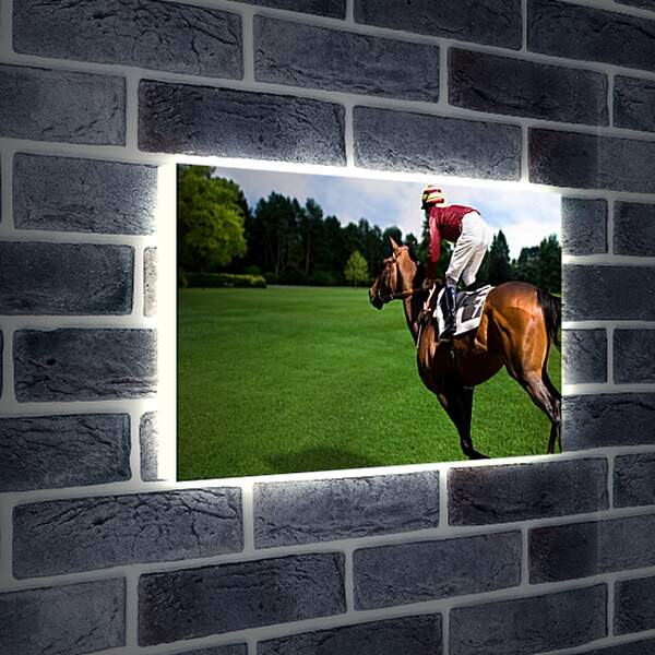 Лайтбокс световая панель - Наездник на лошади