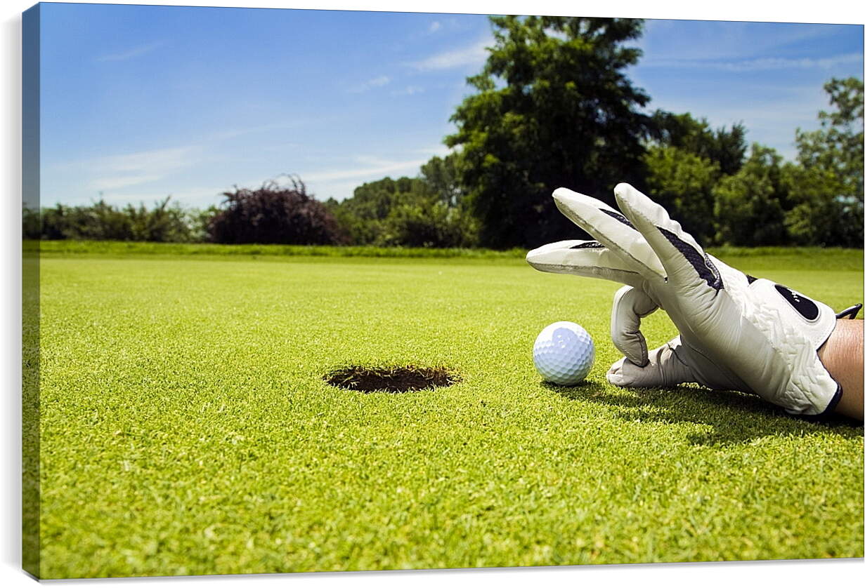 Постер и плакат - Лунка для гольфа