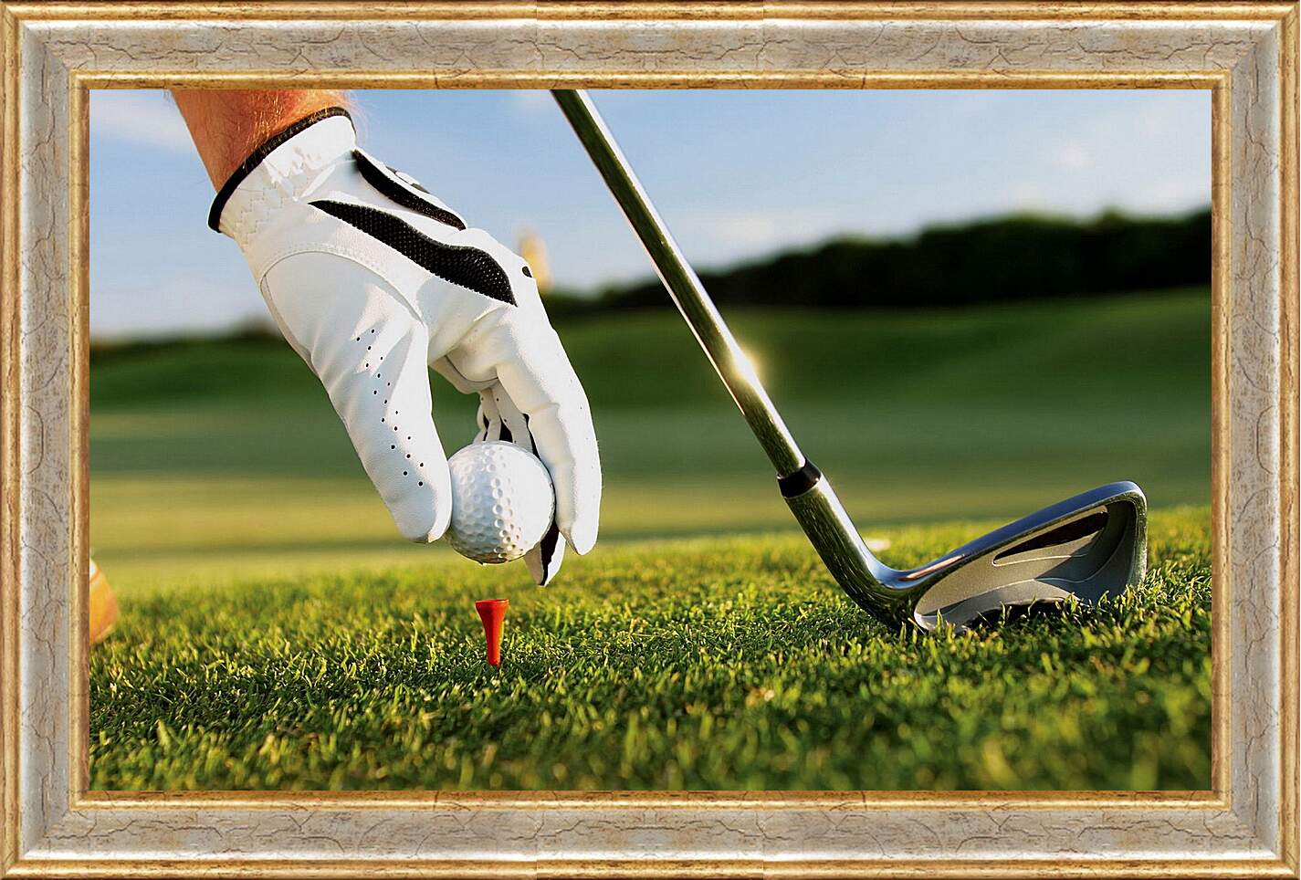 Картина в раме - Клюшка для гольфа