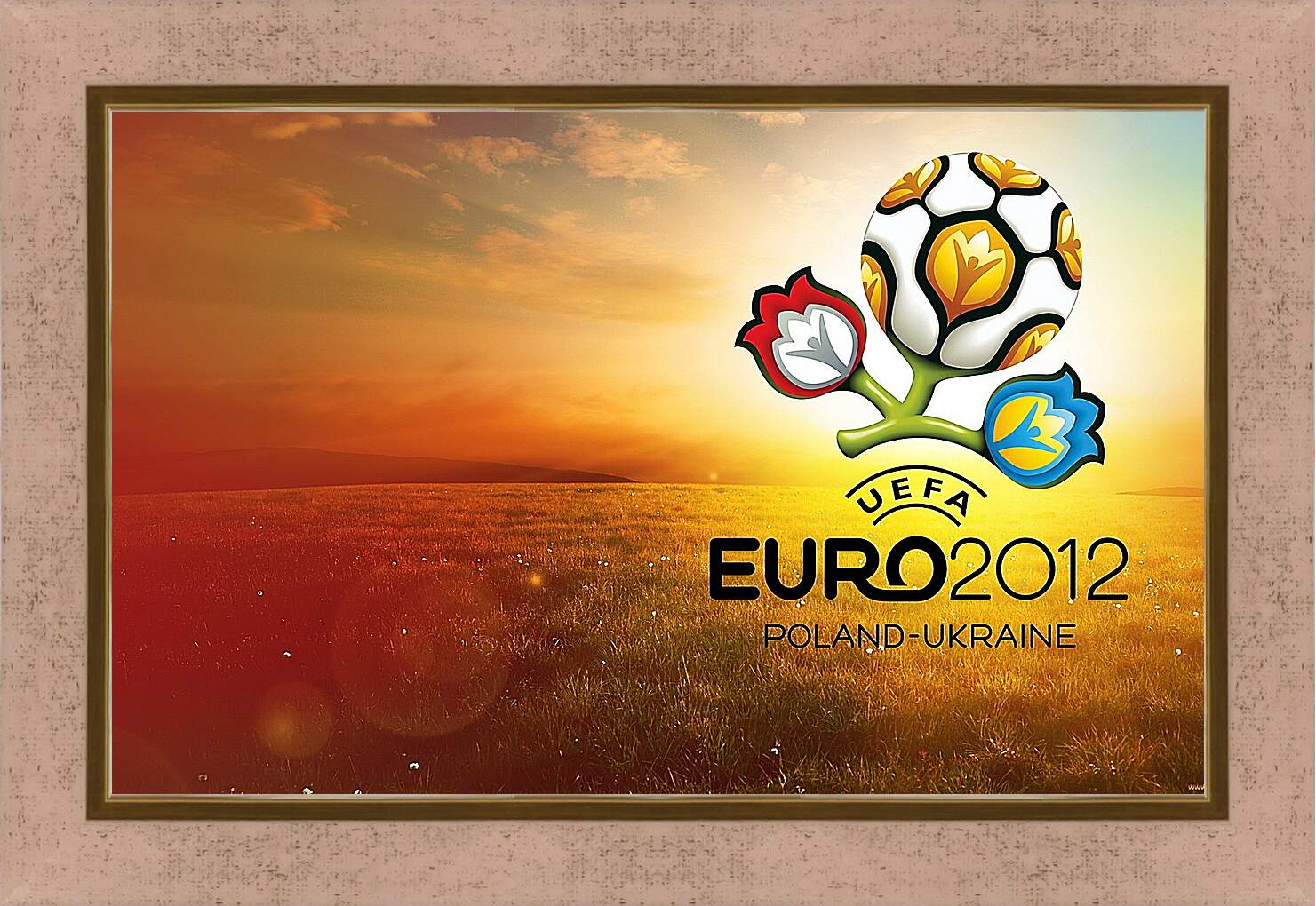 Картина в раме - Евро-2012 Польша-Украина. Poland-Ukraine.