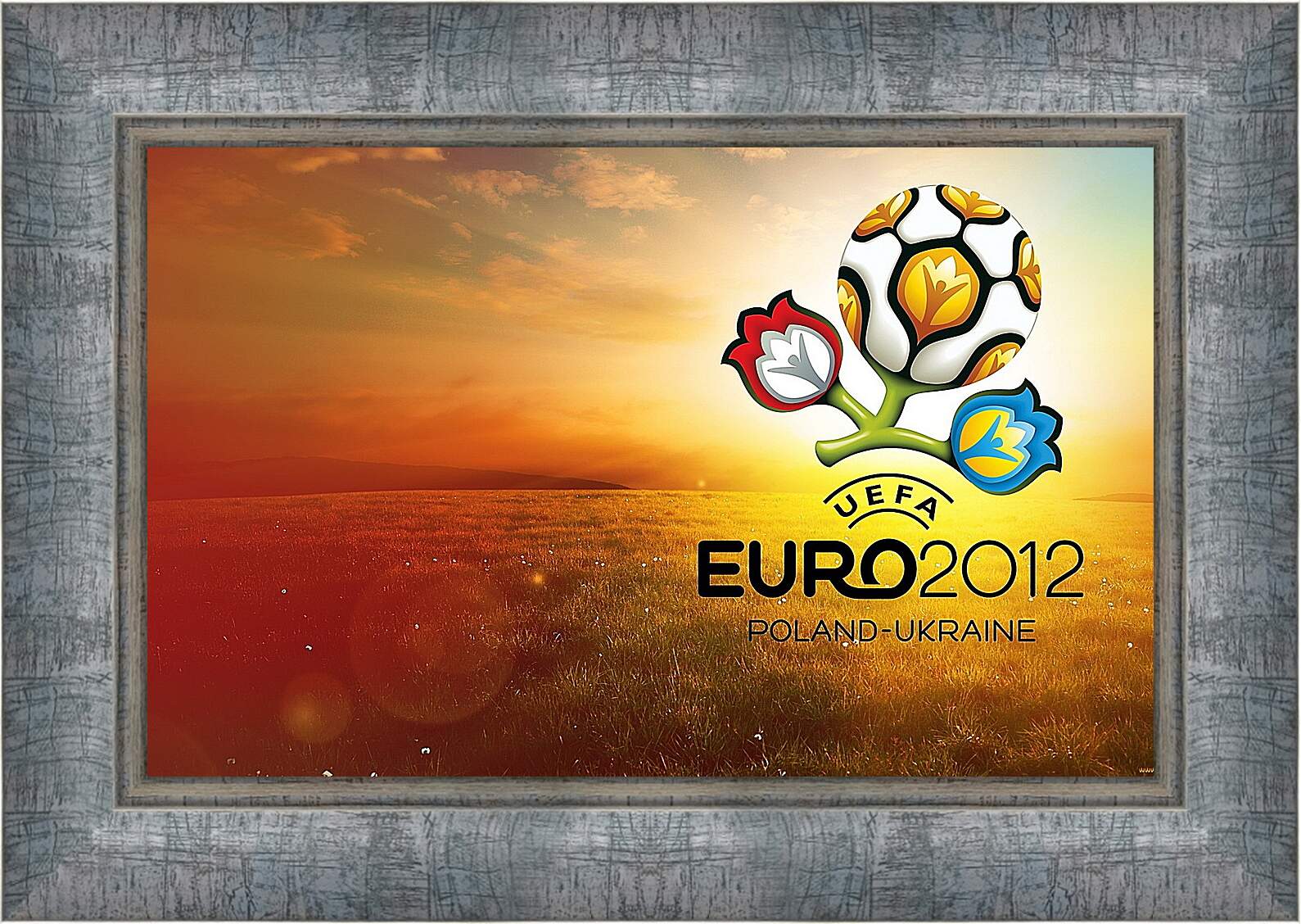 Картина в раме - Евро-2012 Польша-Украина. Poland-Ukraine.