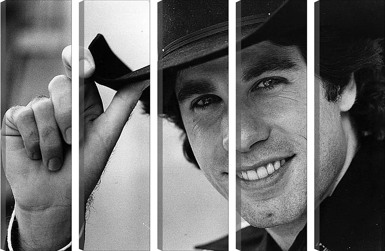 Модульная картина - Джон Траволта. John Travolta
