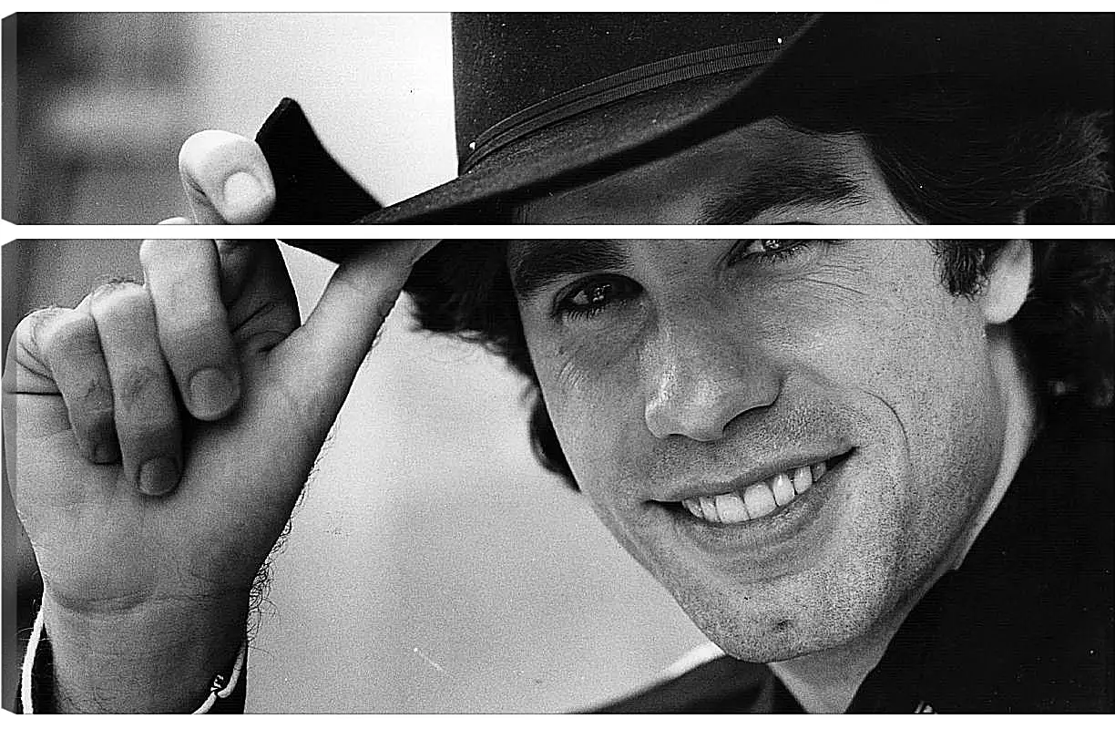 Модульная картина - Джон Траволта. John Travolta