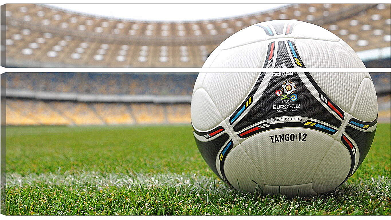 Модульная картина - Официальный мяч Евро 2012