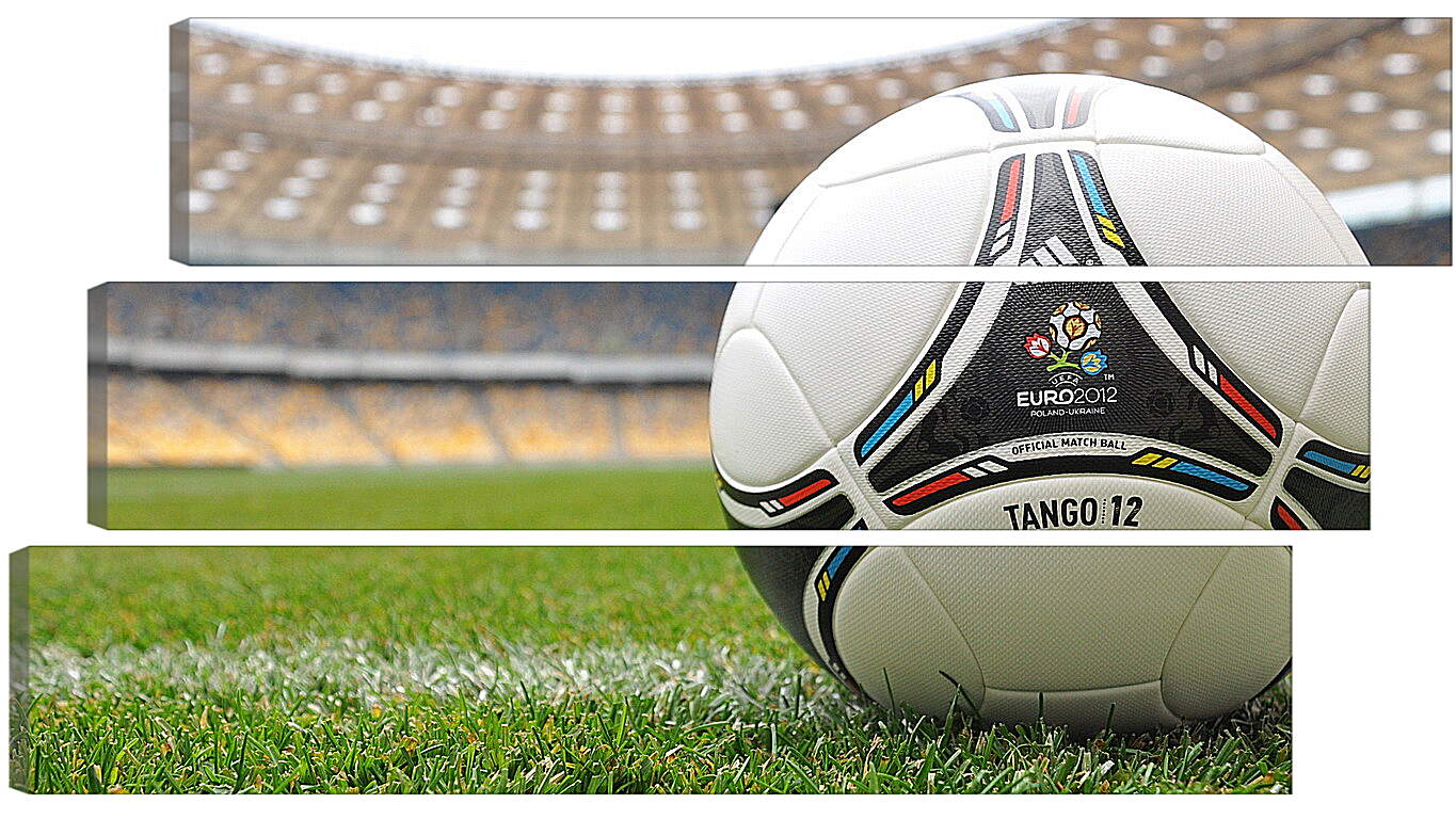Модульная картина - Официальный мяч Евро 2012