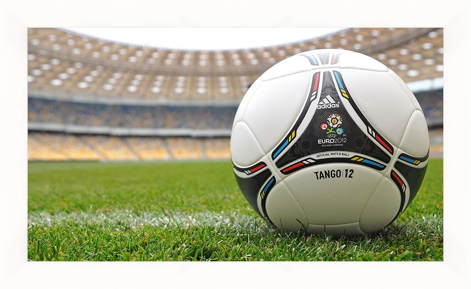 Картина в раме - Официальный мяч Евро 2012