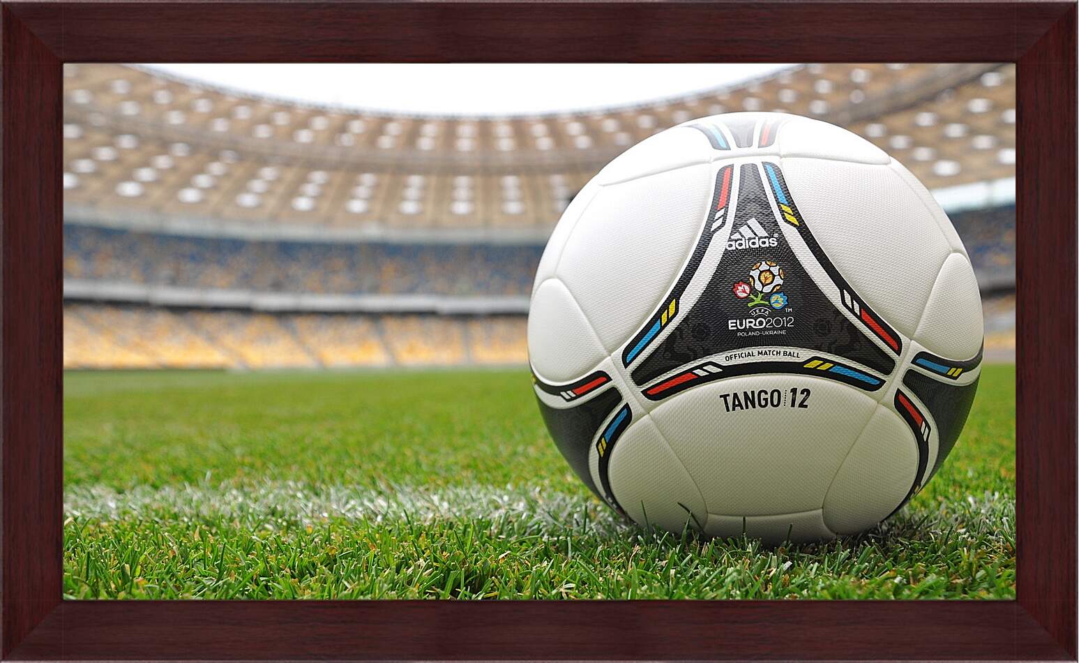 Картина в раме - Официальный мяч Евро 2012