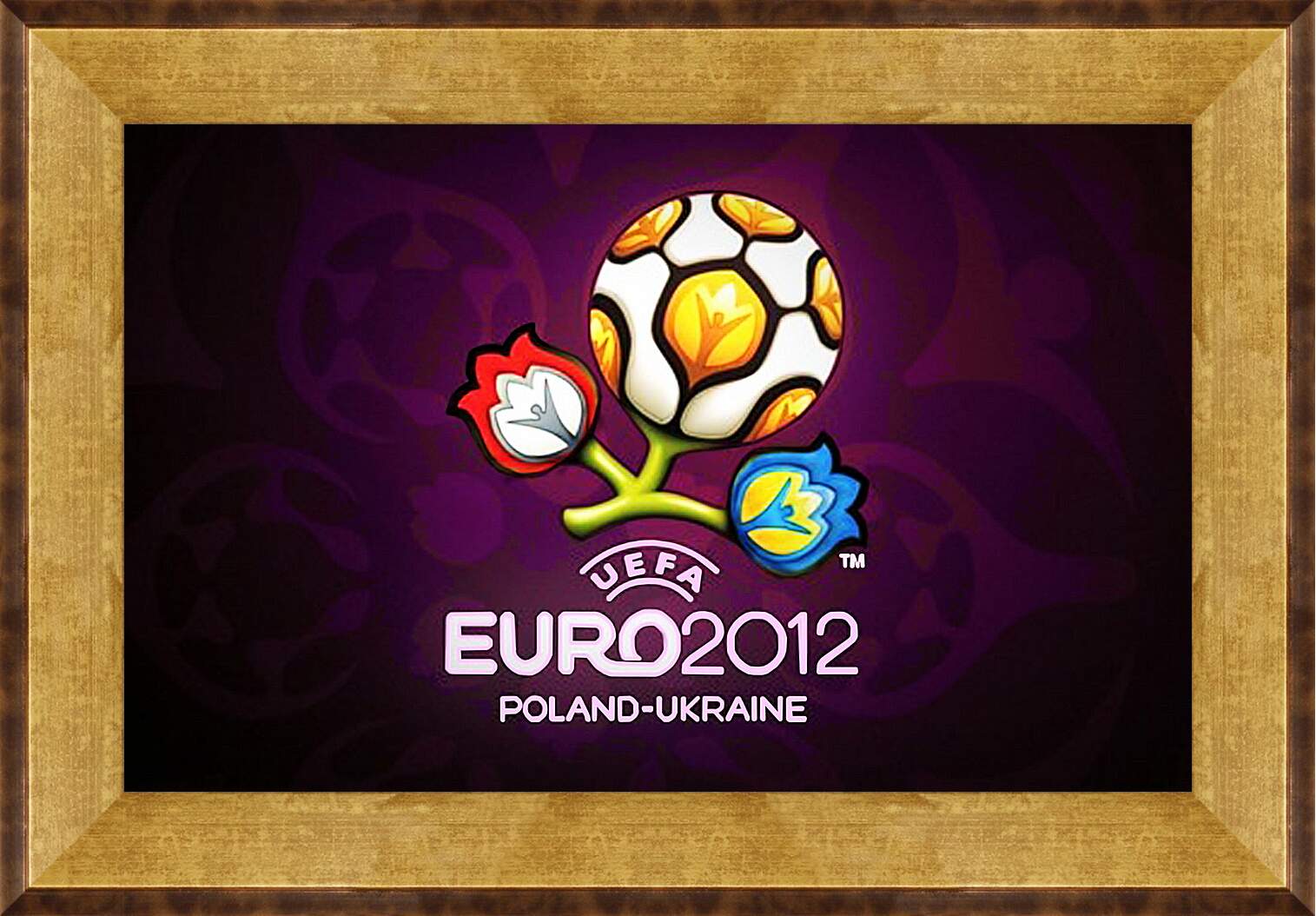 Картина в раме - Евро-2012 Польша-Украина