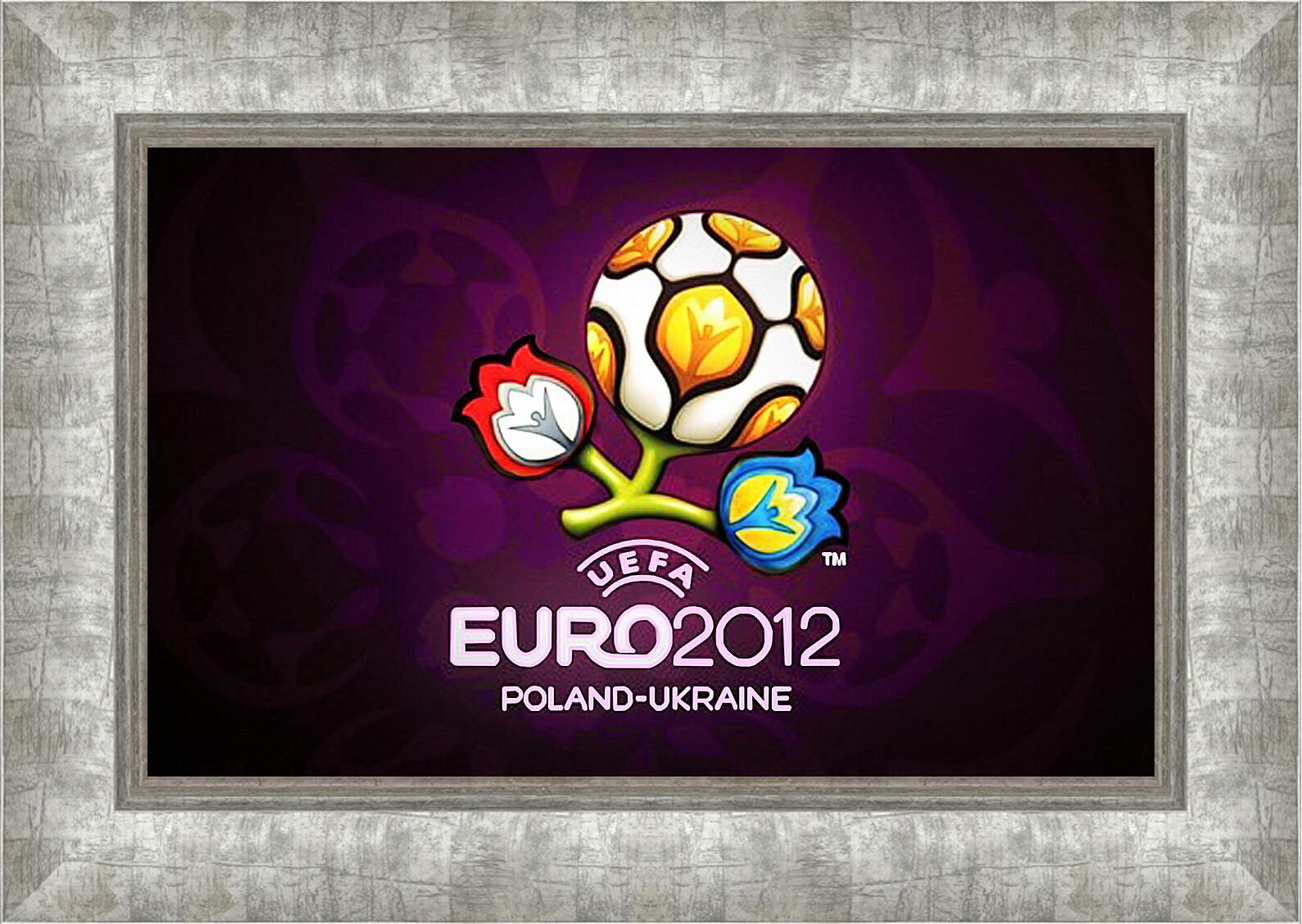 Картина в раме - Евро-2012 Польша-Украина
