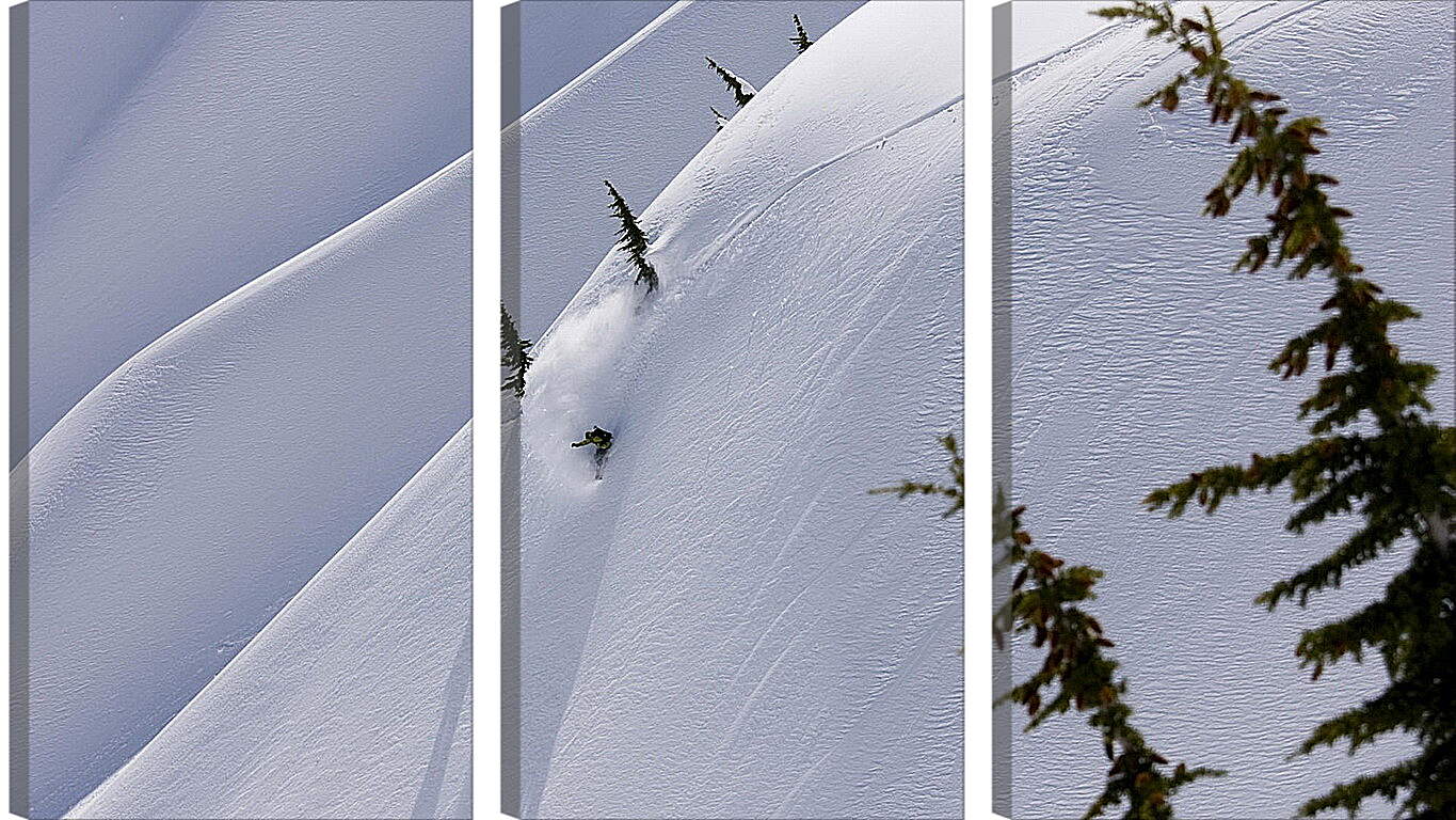 Модульная картина - Спуск по белому снегу