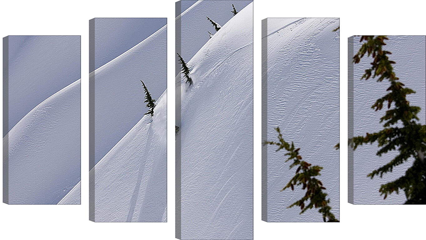 Модульная картина - Спуск по белому снегу