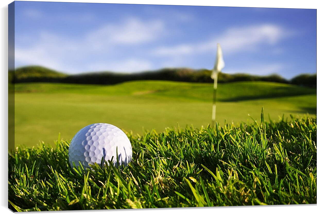 Постер и плакат - Мяч для гольфа на траве