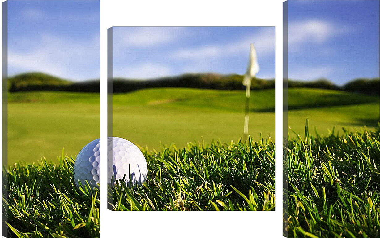 Модульная картина - Мяч для гольфа на траве