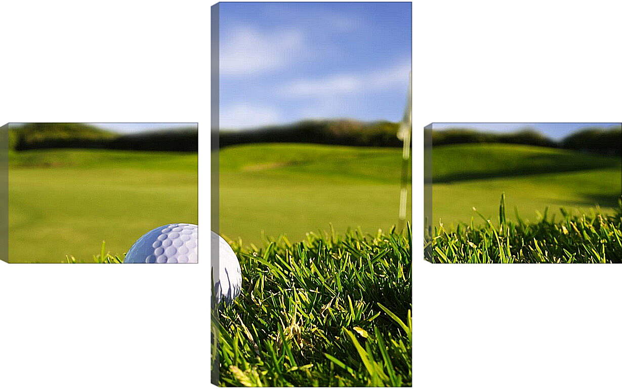 Модульная картина - Мяч для гольфа на траве