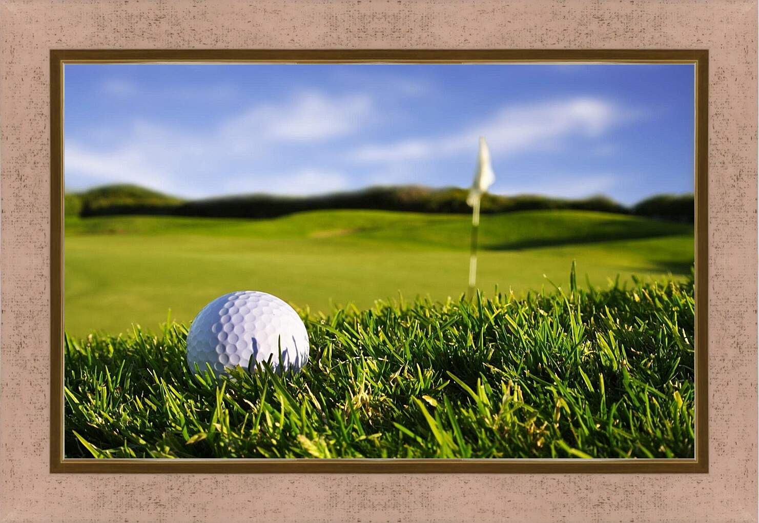 Картина в раме - Мяч для гольфа на траве