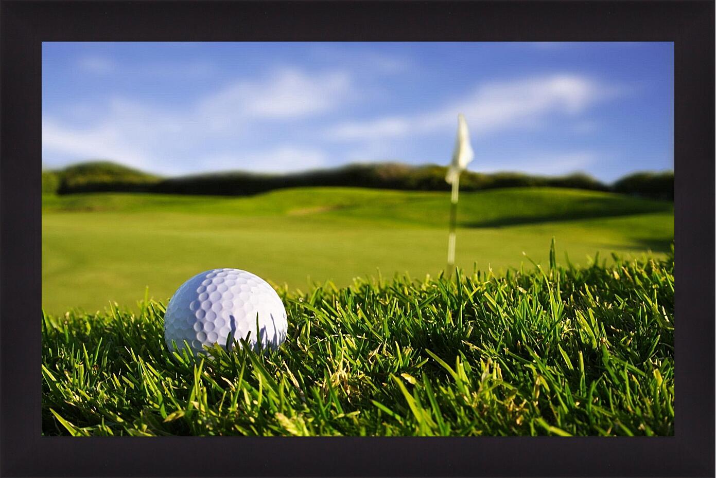 Картина в раме - Мяч для гольфа на траве