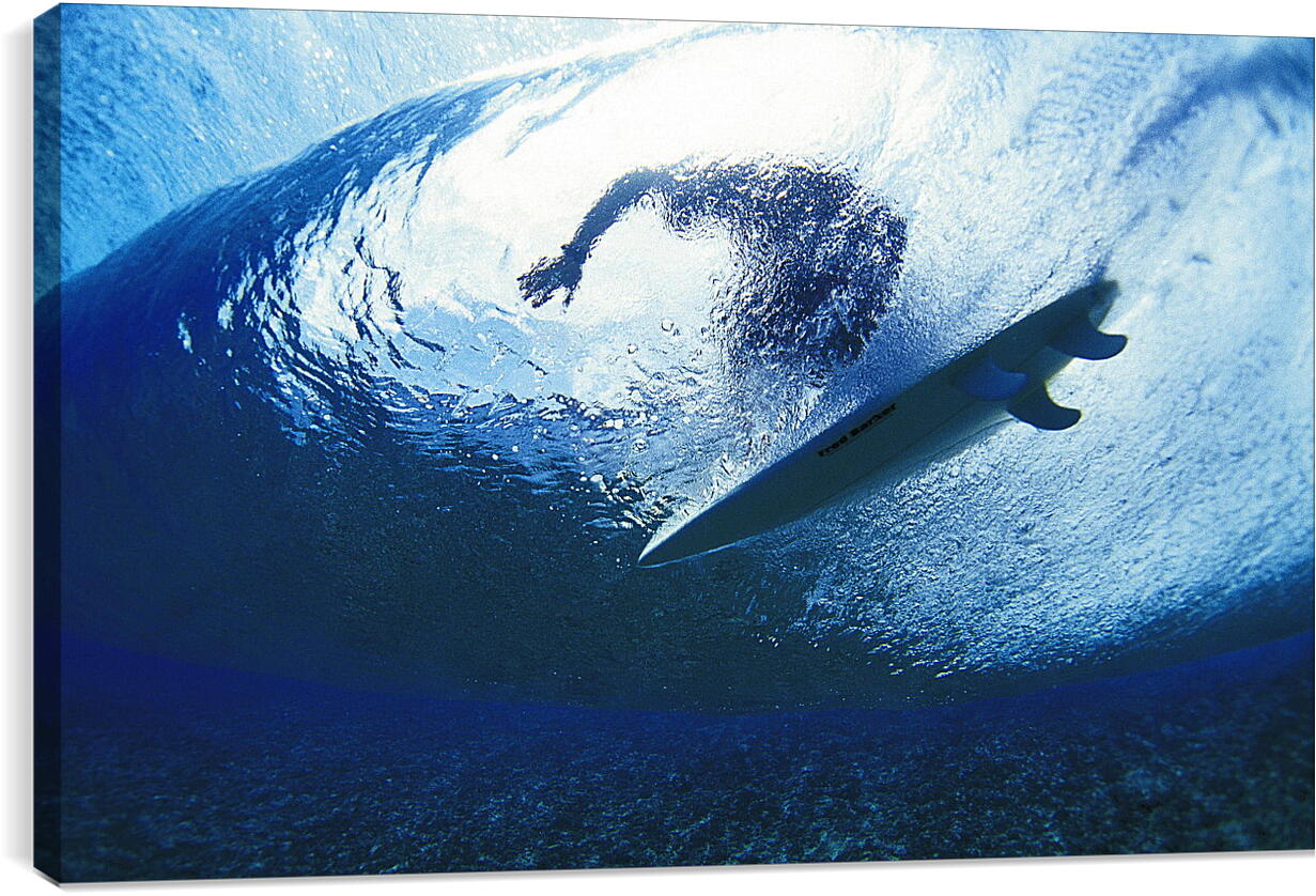 Постер и плакат - Вид на серфингиста из-под воды