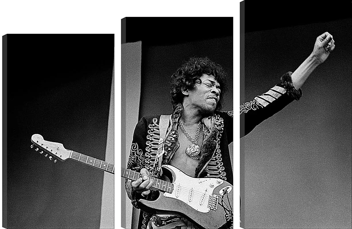 Модульная картина - Джими Хендрикс. Jimi Hendrix