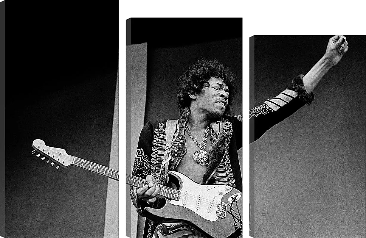 Модульная картина - Джими Хендрикс. Jimi Hendrix