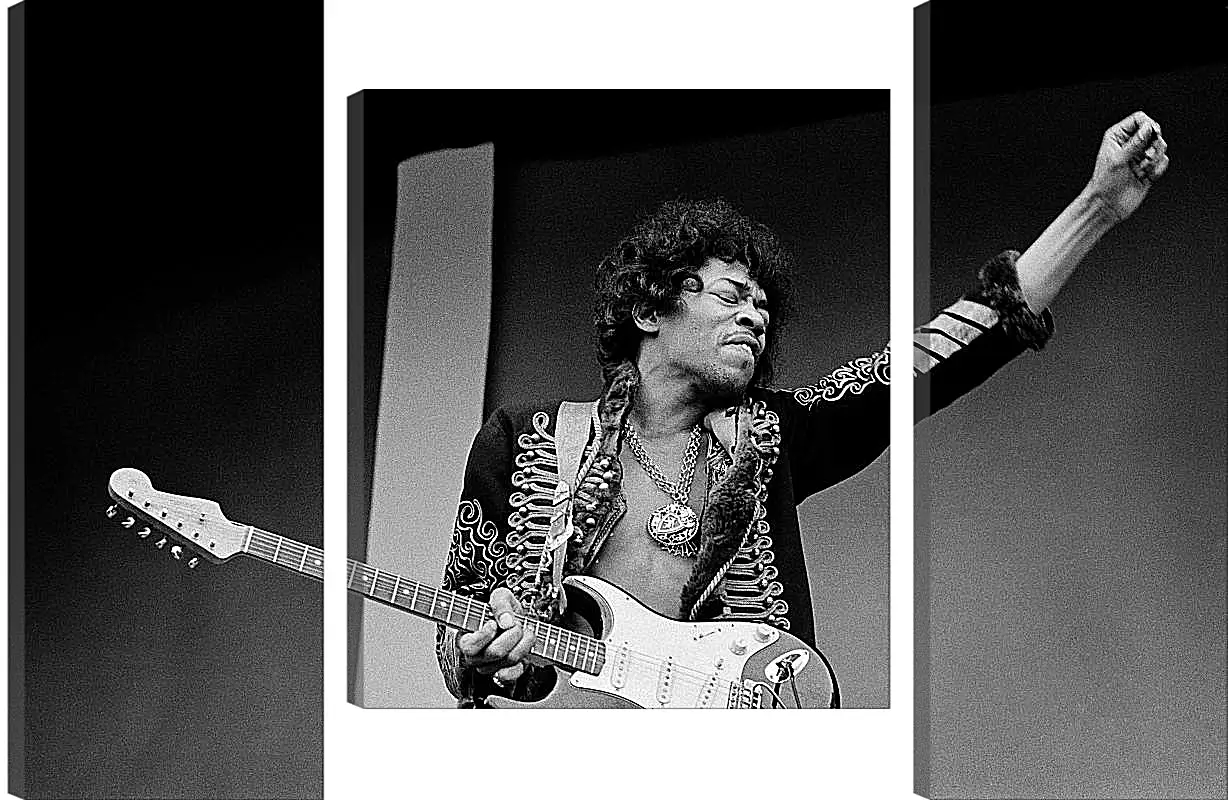 Модульная картина - Джими Хендрикс. Jimi Hendrix