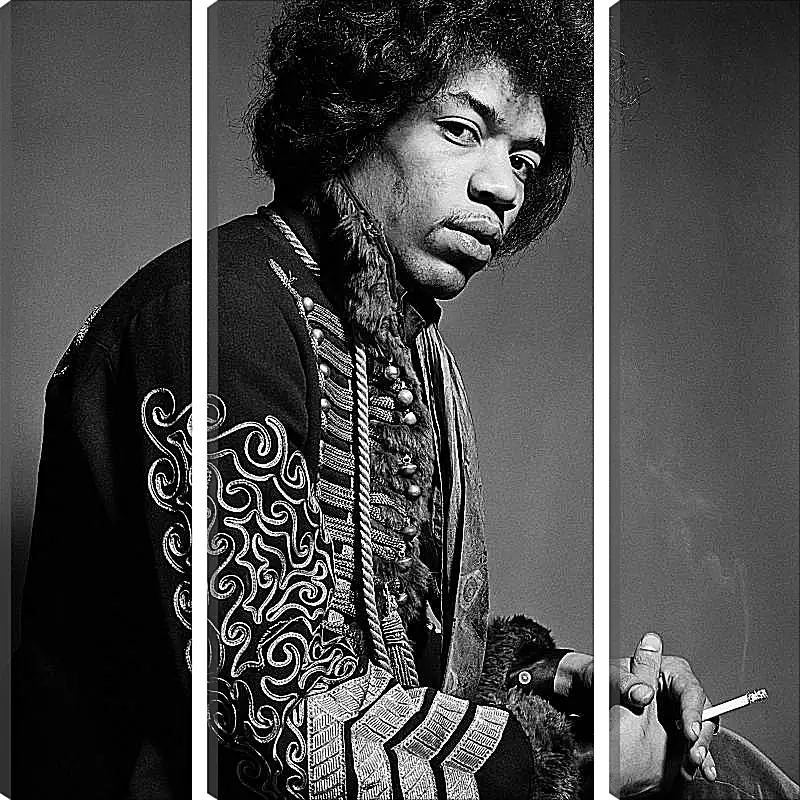 Модульная картина - Джими Хендрикс. Jimi Hendrix