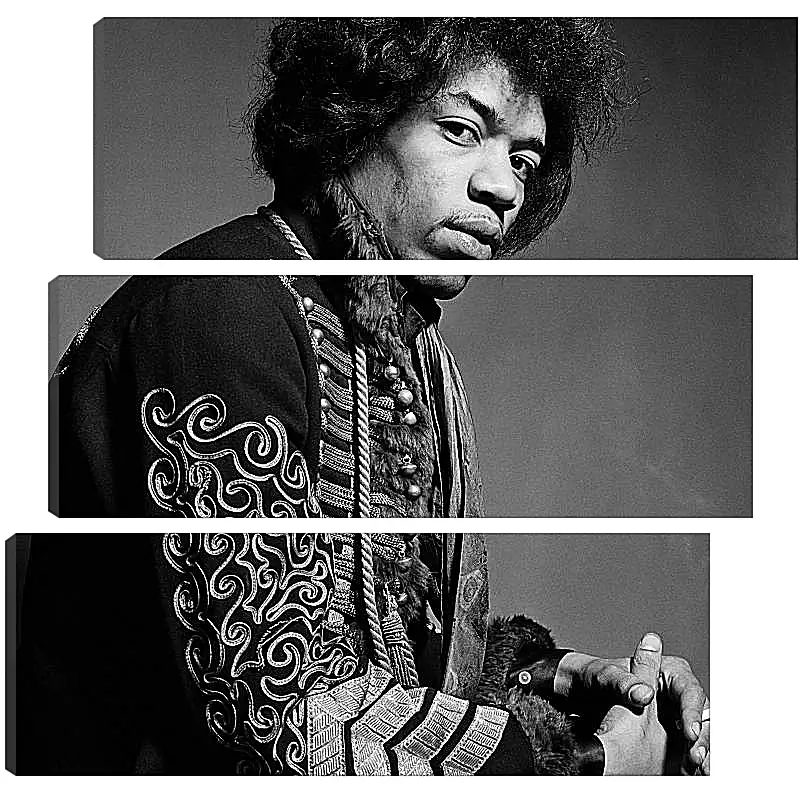 Модульная картина - Джими Хендрикс. Jimi Hendrix