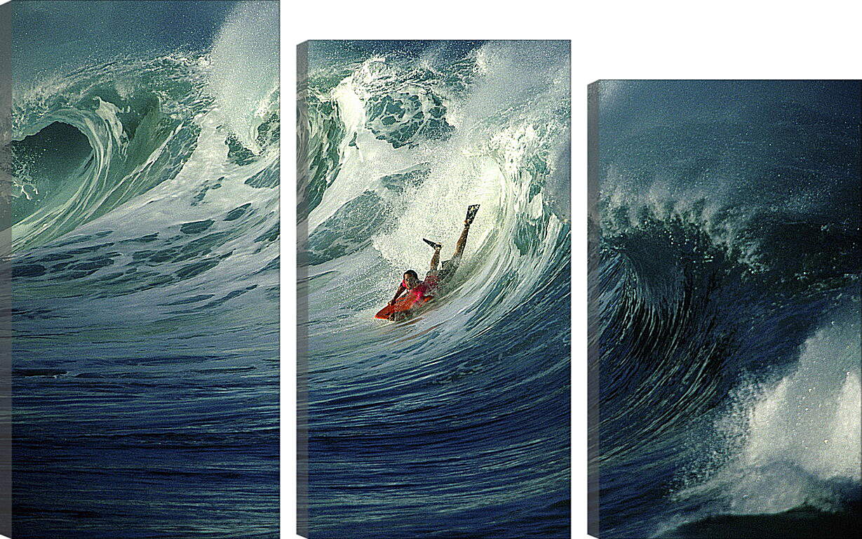 Модульная картина - Отчаянный сёрфингист