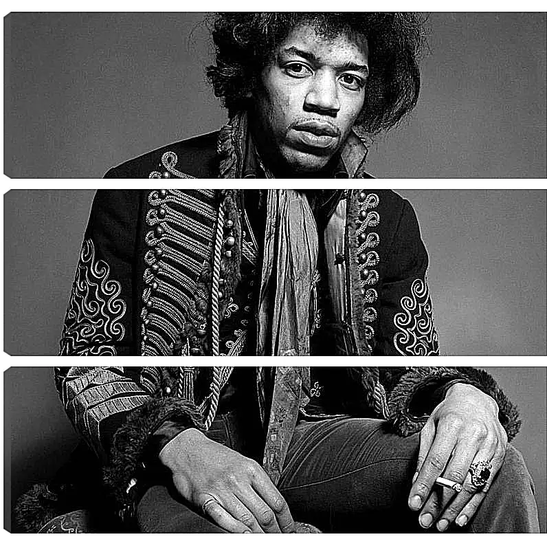 Модульная картина - Джими Хендрикс. Jimi Hendrix