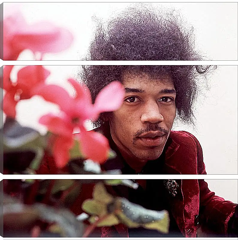 Модульная картина - Джими Хендрикс. Jimi Hendrix