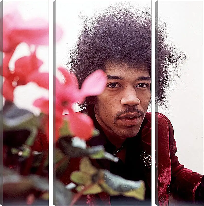 Модульная картина - Джими Хендрикс. Jimi Hendrix