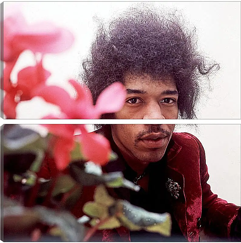 Модульная картина - Джими Хендрикс. Jimi Hendrix