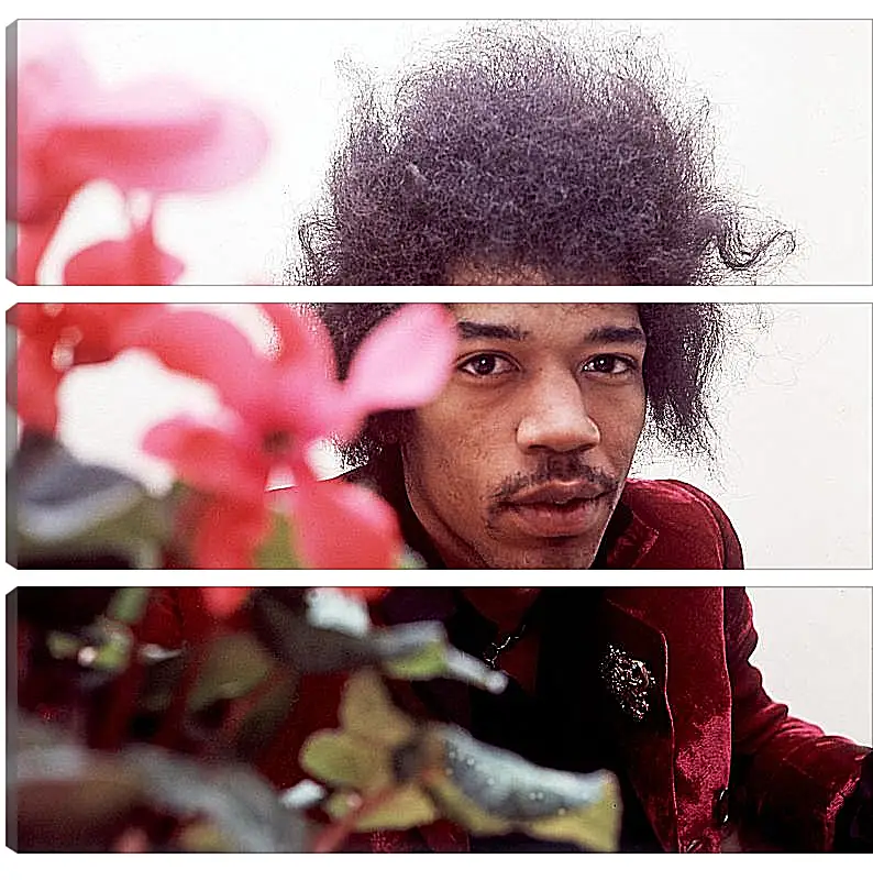 Модульная картина - Джими Хендрикс. Jimi Hendrix