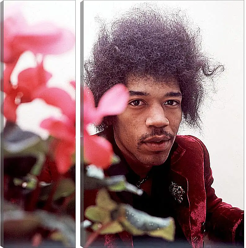 Модульная картина - Джими Хендрикс. Jimi Hendrix