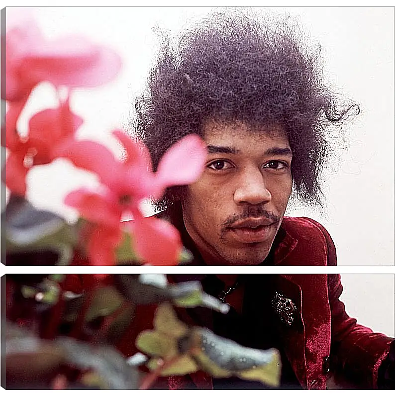 Модульная картина - Джими Хендрикс. Jimi Hendrix