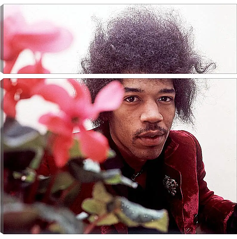 Модульная картина - Джими Хендрикс. Jimi Hendrix