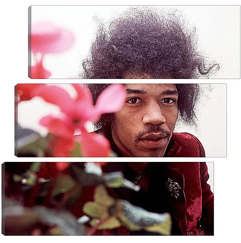 Модульная картина - Джими Хендрикс. Jimi Hendrix