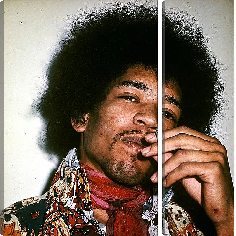 Модульная картина - Джими Хендрикс. Jimi Hendrix