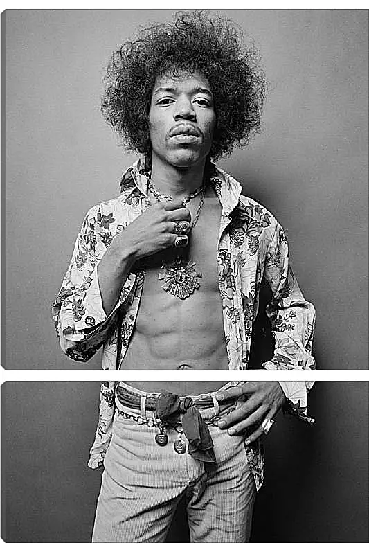 Модульная картина - Джими Хендрикс. Jimi Hendrix