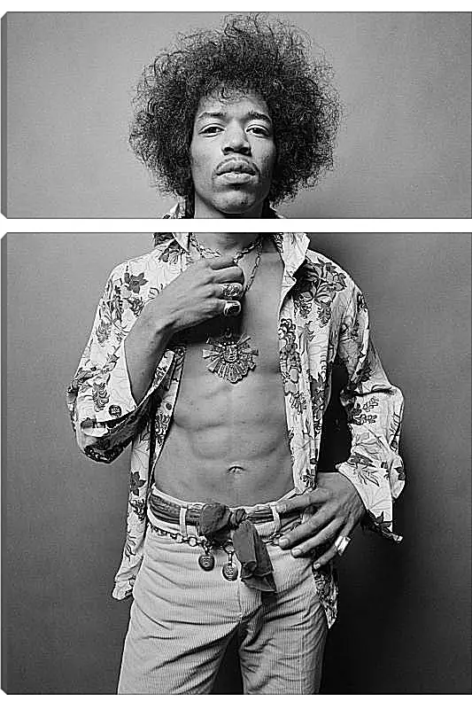 Модульная картина - Джими Хендрикс. Jimi Hendrix