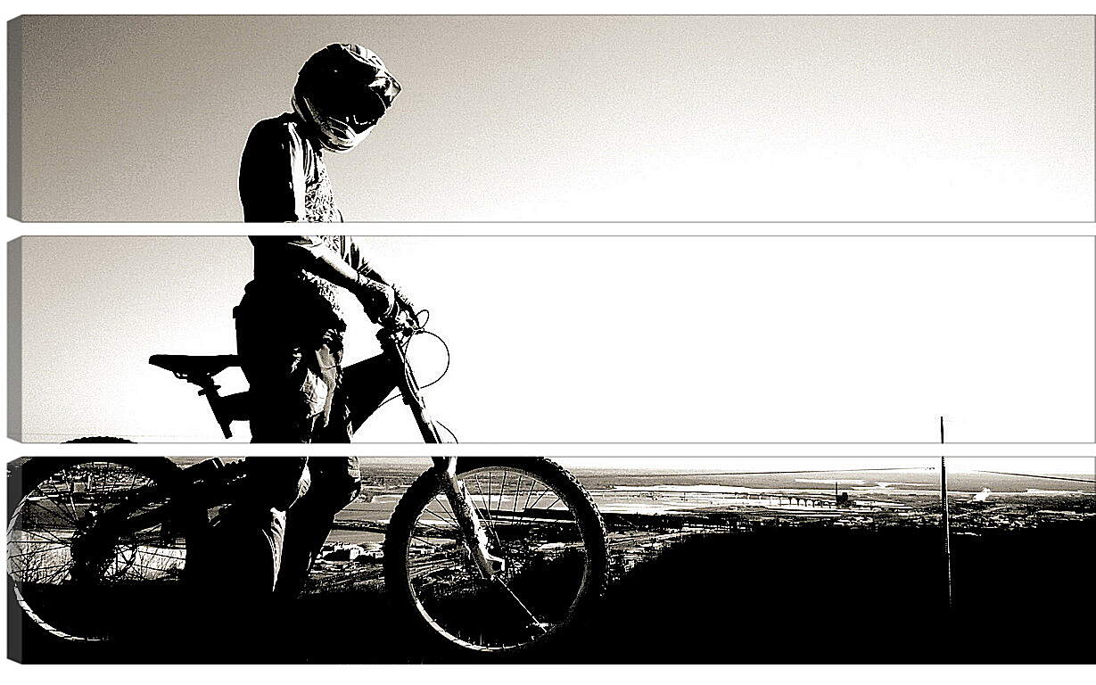 Модульная картина - Велосипедист в шлеме