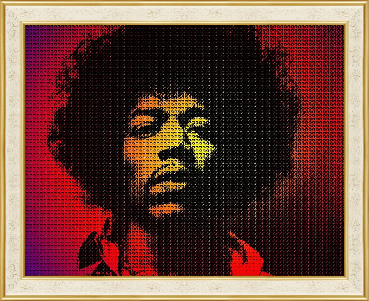 Картина в раме - Джими Хендрикс. Jimi Hendrix