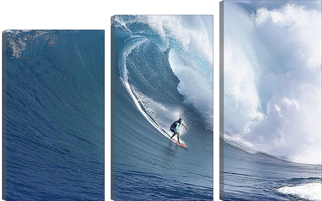 Модульная картина - Рисковый сёрфингист